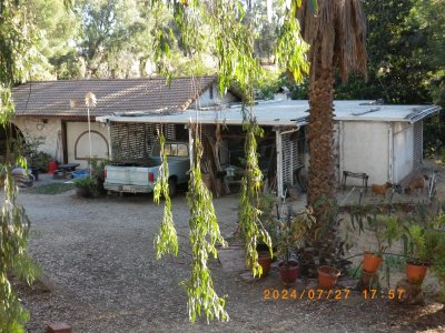 IMGP4558.JPG