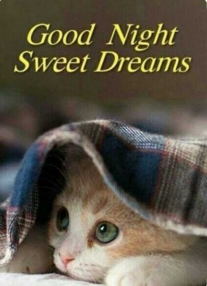 goodnightsweetdreams.jpg