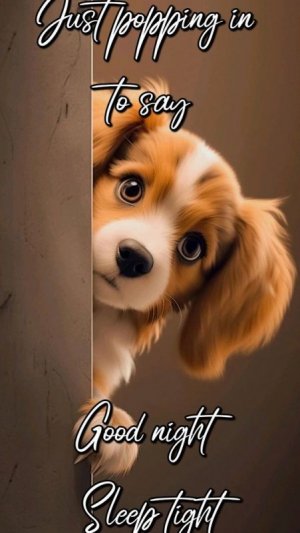 d2588afe871c7ef899c05356a4e5370f[1].jpg