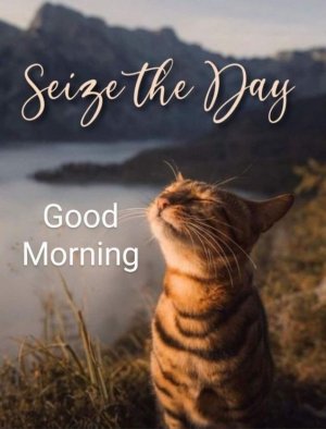 631f93406be4f6b8bd36028bfe091930[1].jpg