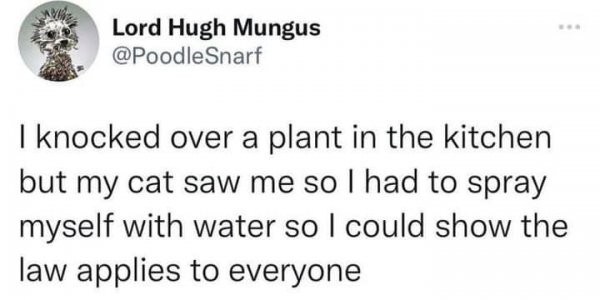 453325466_506197921907718_6672696798580761965_n.jpg