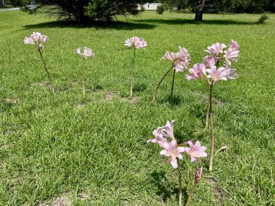IMG_1433.jpeg