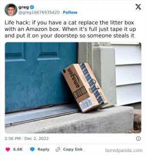 litterbx.jpg