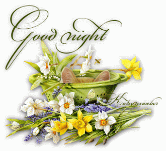 306043-Good-Night.gif