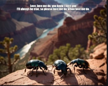 beetles.jpg
