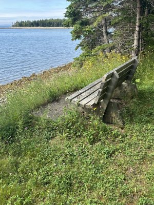 IMG_5336.jpeg