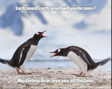penguins.jpg