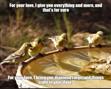 yardbirds.jpg