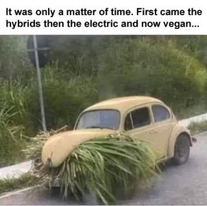 vegan.jpg