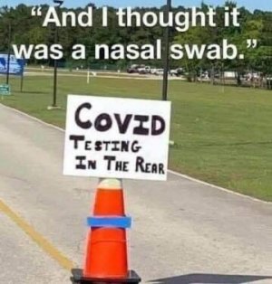 IMG_8391.jpeg