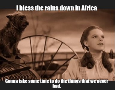 toto.jpg