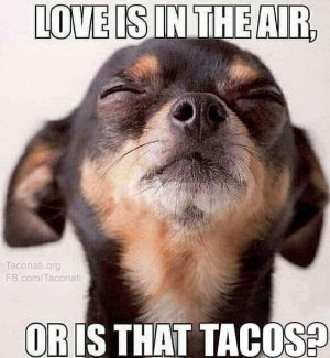 22e0698bd0d405e1ec8aef8cee971fce[1].jpg