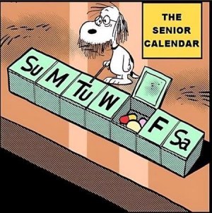 Screenshot 2024-07-31 151254.jpg