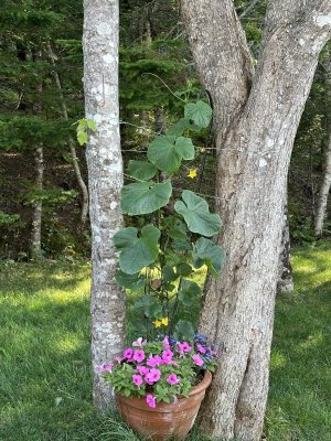 IMG_5379.jpeg