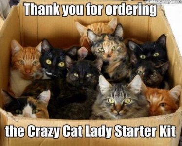cat starter kit.jpeg