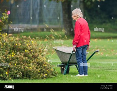elderly-female-gardener-pushing-a-wheelbarrow-old-lady-gardening-senior-KB53D2.jpg