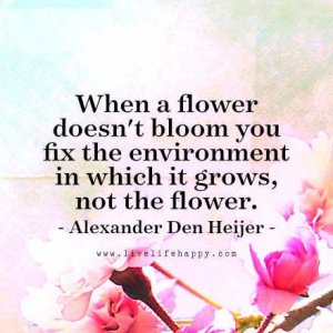 fixenvironment.jpg