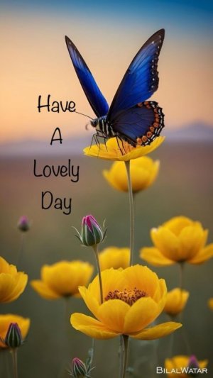 ee111d468df43b559bbeeaeea9197424[1].jpg