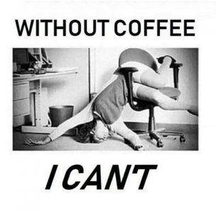 IMG_8409.jpeg
