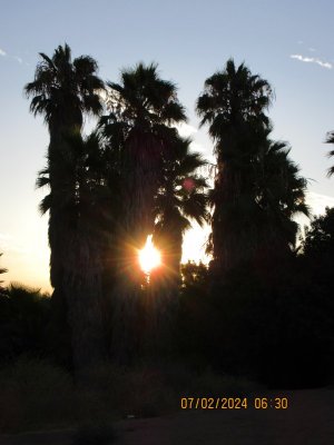 IMG_4674.JPG