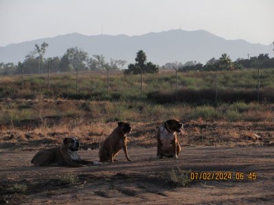 IMG_4678.JPG