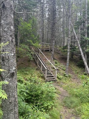 IMG_5395.jpeg