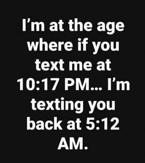453652393_3760363990874722_254121240400567405_n.jpg