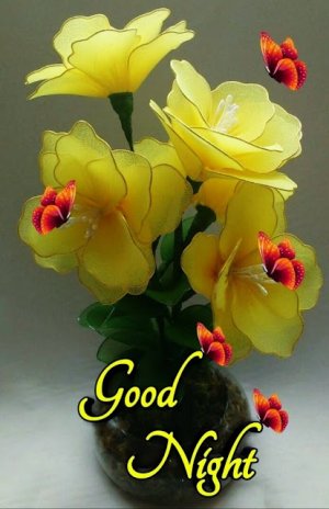 IMG_20220425_100436.jpg