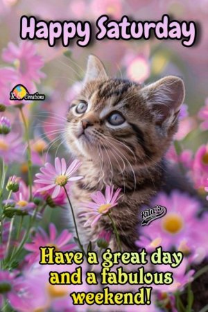 11c3132d16640420ee709f22124f50b3[1].jpg