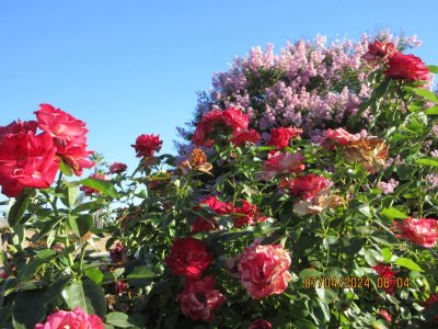IMG_4762.JPG