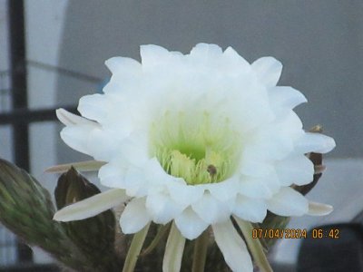 IMG_4725.JPG
