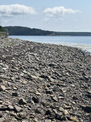 IMG_5413.jpeg
