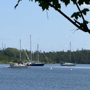 IMG_5422.jpeg