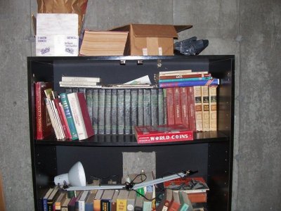 shelf in basement.jpg