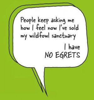 noegrets.jpg