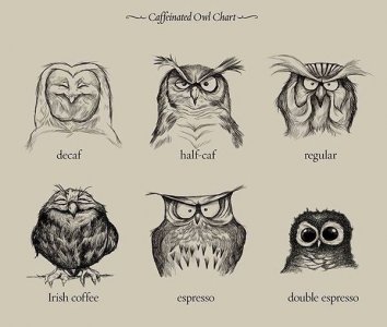 offee owls joke.jpg