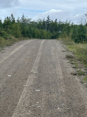 IMG_5435.jpeg