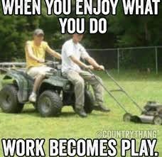 ridinglawnmower2.jpg
