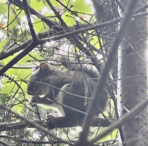 IMG_5442.jpeg