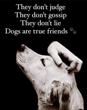 FB_IMG_1722345694868.jpg