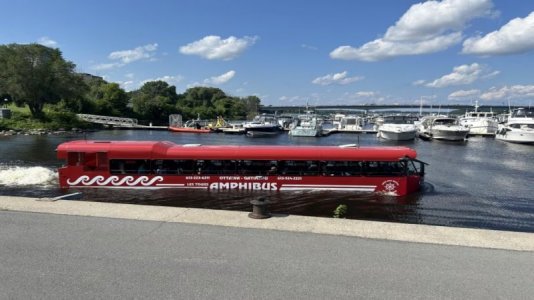 amphi-bus.jpg