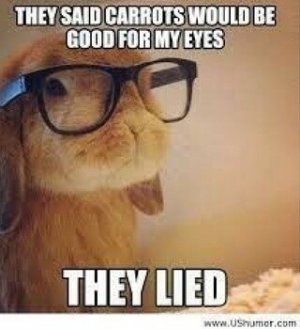 bunny-memes-feat-1.jpg