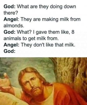 FB_IMG_1721872339075.jpg