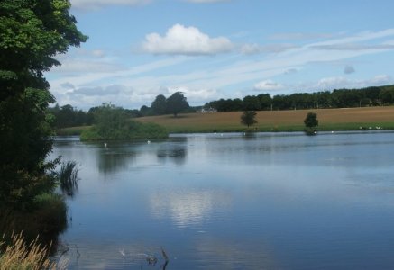 pitfour2.jpg