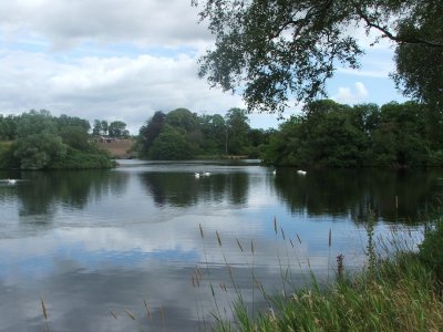 pitfour4.jpg