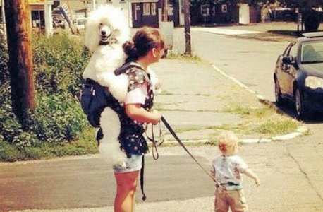 Dog Lady @.jpg