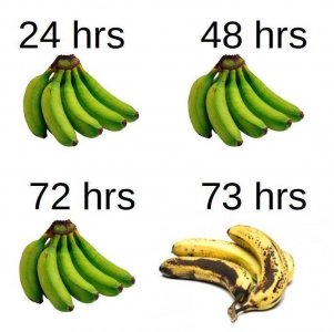 453739465_7353708964731024_6842617956749976689_n.jpg