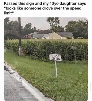 453860718_10234833691212350_5468887631412541813_n~2.jpg