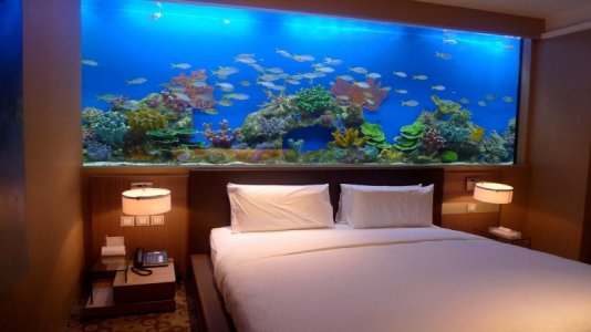 bed and aqua.jpg