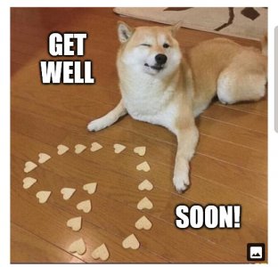 Get-well-soon-Dog-heart-Meme.jpg
